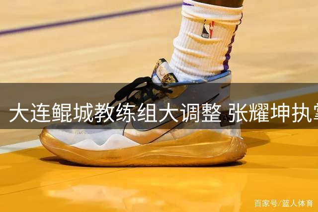 大连鲲城教练组大调整 张耀坤执掌U16男足 杨林接任主帅