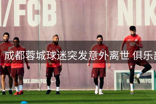 成都蓉城球迷突发意外离世 俱乐部表态全力协助善后